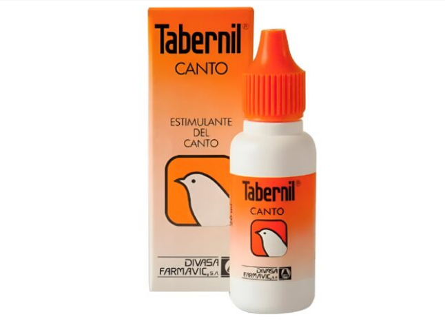 Tabernil Canto 